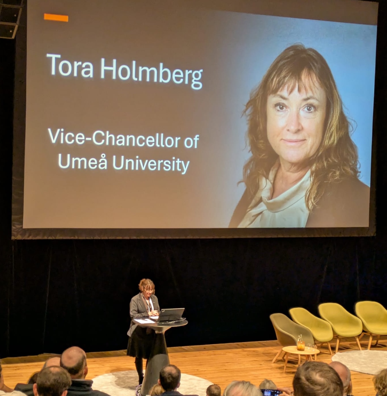 Tora
